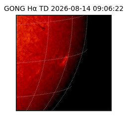 gong - 2026-08-14T09:06:22