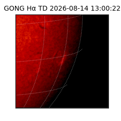 gong - 2026-08-14T13:00:22