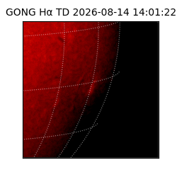 gong - 2026-08-14T14:01:22