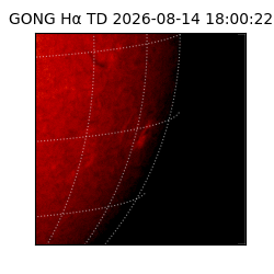 gong - 2026-08-14T18:00:22