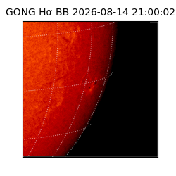gong - 2026-08-14T21:00:02