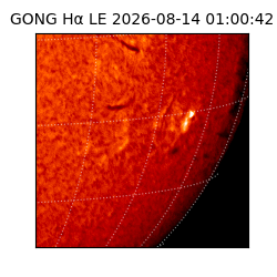 gong - 2026-08-14T01:00:42