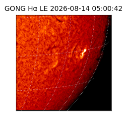 gong - 2026-08-14T05:00:42