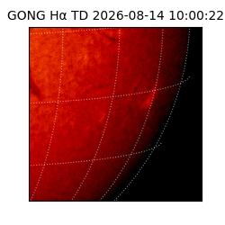 gong - 2026-08-14T10:00:22
