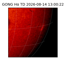 gong - 2026-08-14T13:00:22