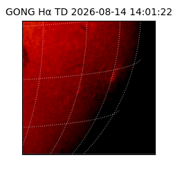 gong - 2026-08-14T14:01:22