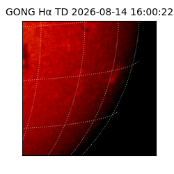 gong - 2026-08-14T16:00:22