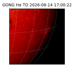 gong - 2026-08-14T17:00:22