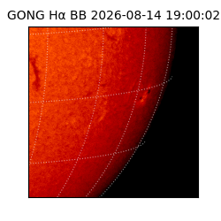 gong - 2026-08-14T19:00:02