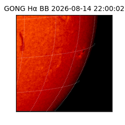 gong - 2026-08-14T22:00:02
