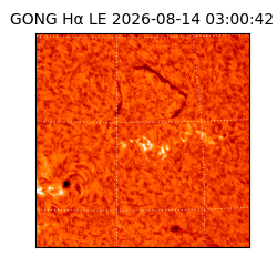 gong - 2026-08-14T03:00:42