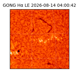 gong - 2026-08-14T04:00:42