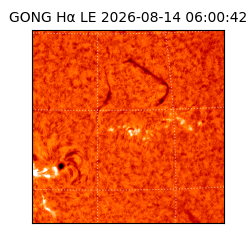 gong - 2026-08-14T06:00:42