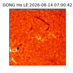 gong - 2026-08-14T07:00:42