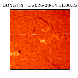 gong - 2026-08-14T11:00:22