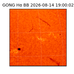 gong - 2026-08-14T19:00:02