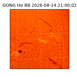 gong - 2026-08-14T21:00:02