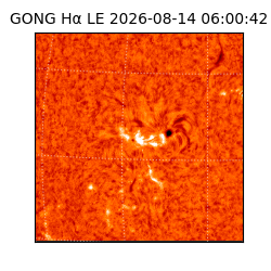 gong - 2026-08-14T06:00:42