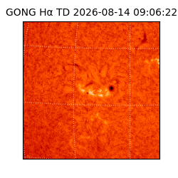 gong - 2026-08-14T09:06:22