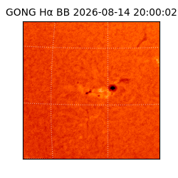 gong - 2026-08-14T20:00:02