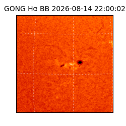 gong - 2026-08-14T22:00:02