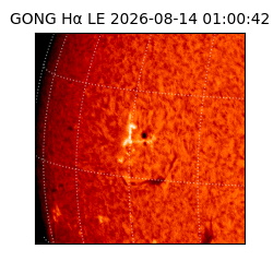 gong - 2026-08-14T01:00:42