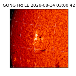 gong - 2026-08-14T03:00:42