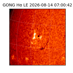 gong - 2026-08-14T07:00:42