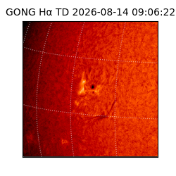 gong - 2026-08-14T09:06:22