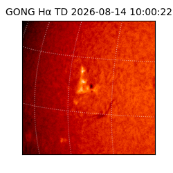 gong - 2026-08-14T10:00:22