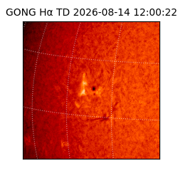 gong - 2026-08-14T12:00:22