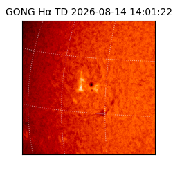 gong - 2026-08-14T14:01:22