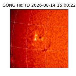 gong - 2026-08-14T15:00:22