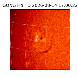 gong - 2026-08-14T17:00:22
