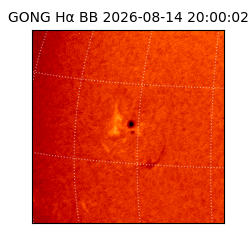 gong - 2026-08-14T20:00:02