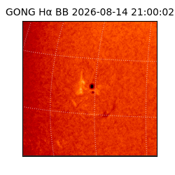 gong - 2026-08-14T21:00:02