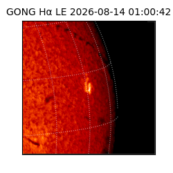 gong - 2026-08-14T01:00:42