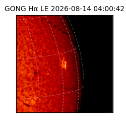 gong - 2026-08-14T04:00:42