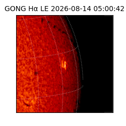gong - 2026-08-14T05:00:42