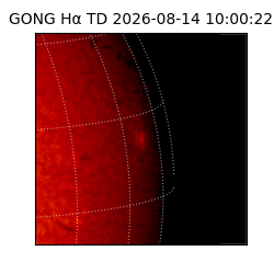 gong - 2026-08-14T10:00:22