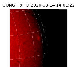 gong - 2026-08-14T14:01:22