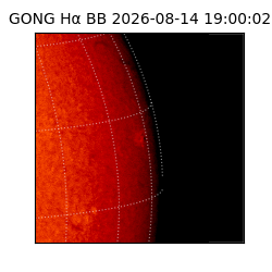 gong - 2026-08-14T19:00:02