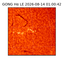 gong - 2026-08-14T01:00:42
