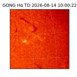 gong - 2026-08-14T10:00:22
