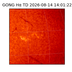 gong - 2026-08-14T14:01:22
