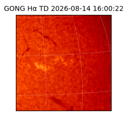 gong - 2026-08-14T16:00:22