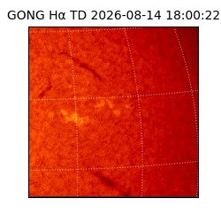 gong - 2026-08-14T18:00:22