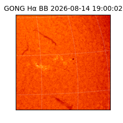 gong - 2026-08-14T19:00:02