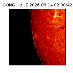 gong - 2026-08-14T02:00:42
