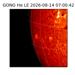 gong - 2026-08-14T07:00:42